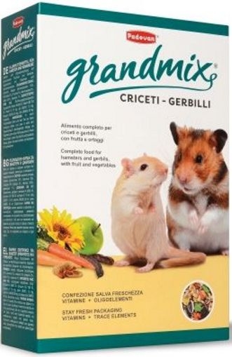 Padovan GrandMix Criceti 1Kg. - Alimento especial para hamsters - mascotaencasa