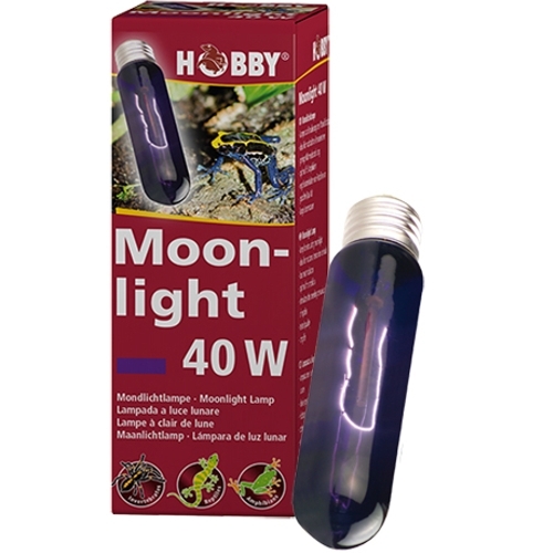 Hobby Moonlight 40w. Bombilla luz de luna para anfibios y reptiles.