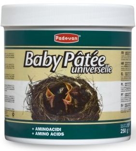 ▷ Baby Patee Universal 250g Padovan - Papilla para Aves Granívoras