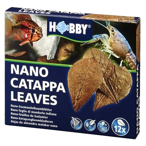 Nano Catappa Leaves - Hojas de almendro malabar catappa