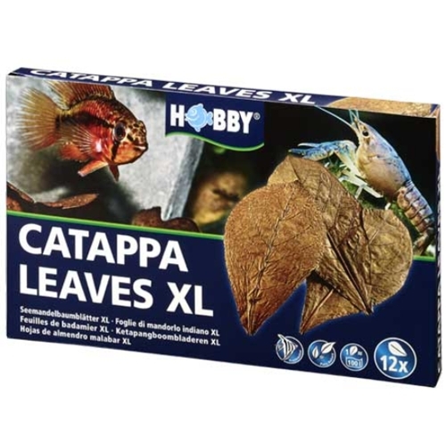 Padovan CATAPPA LEAVES XL para gambarios y acuarios - mascotaencasa