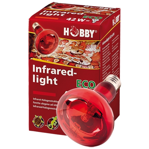 Hobby Infrared Light Eco 42 W. - Bombilla de infrarojos para reptiles en terrario