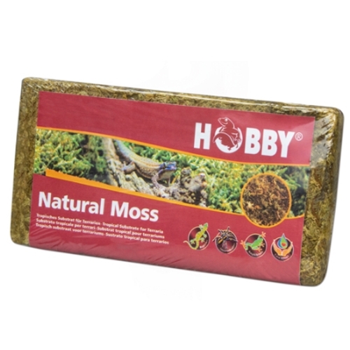 Hobby Natural Moss 100gr. musgo natural para terrarios - mascotaencasa